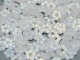 #01.00b 50 Stück Blüten 5 mm - crystal matt full AB