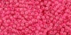 10 g TOHO Seed Beads 11/0 TR-11-0978 - Luminous Neon Pink (E)