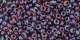 10 g TOHO Seed Beads 11/0 TR-11-0251 - Inside-Color Luster Lt Amethyst/Jet-Lined (E)