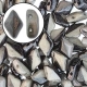 #00.04 - 25 Stück GemDUO "DUETT" 5x8 mm - Black & White Gray Lustered