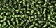 10 g TOHO Seed Beads 11/0 TR-11-0037 - Silver-Lined Olivine (A,D)