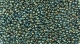 5g TOHO SeedBeads 15/0 TR-15-0507 Higher Metallic Green Iris