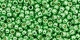 10 g TOHO Seed Beads 11/0 TR-11-PF587 - Permanent Finish - Galvanized Spring Green (A,C,D)