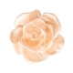 #49 - 5 Stück Resin Rose Beads ca. 10 mm - white - lt peach nougat pearl shine coated