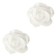#58a - 5 Stück Resin Rose Beads ca. 6 mm - white - white pearl shine coated