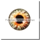 1 Stück Glascabochon Ø 30 mm Crystal mit Grafik "Auge" verschiedene Varianten