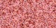 5 g TOHO Demi Round 11/0 TN-11-0779 - Inside-Color Rainbow Crystal/Salmon-Lined