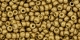10 g TOHO Seed Beads 11/0 TR-11-PF592 F - Permanent Finish - Matte Galvanized Champagne (Golden Fleece) (A,C,D)