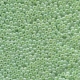 #14.01 - 10 g Rocailles 08/0 3,0 mm - Ceylon Lt Green