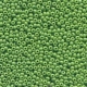 #14.06 - 10 g Rocailles 08/0 3,0 mm - Opaque Pale Green AB