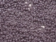 10 Gramm Miyuki Seed Beads 11-0437