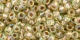 10 g TOHO SeedBeads 8/0 TR-08-0998