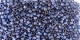 10 g TOHO Seed Beads 11/0 TR-11-0613 - Matte-Color Iris - Gray