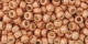 10 g TOHO SeedBeads 8/0 TR-08-PF551 F