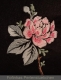 Stickdatei "Rose" 2 Farbvarianten