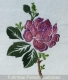 Stickdatei "Rose" 2 Farbvarianten