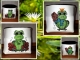 Stickdatei "Frosch #2"