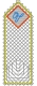 Stickdatei "FSL mit/ohne Organza - Lesezeichen - V"