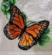Stickdatei "FSL - Schmetterling_Monarch - 79x56 mm"