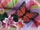 Stickdatei "FSL - Schmetterling Monarch " --- Design Pack