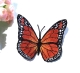 Stickdatei "FSL - Schmetterling Monarch " --- Design Pack