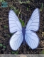 Stickdatei "FSL - Schmetterling Baumweißling " --- Design Pack
