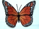 Stickdatei "FSL - Schmetterling_Monarch - 148x104 mm"