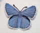 Stickdatei "FSL - Schmetterling-Bläuling - 58x38 mm"
