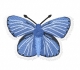 Stickdatei "FSL - Schmetterling-Bläuling - 97x64 mm"