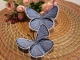 Stickdatei "FSL - Schmetterling-Bläuling - 97x64 mm"