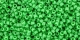 5g TOHO SeedBeads 15/0 TR-15-0047 - Opaque Mint Green