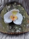 Stickdatei "FSL - Orchidee, mit Loch zum Montieren" - ca. 80 mm - Einzeldatei