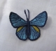 Stickdatei "FSL & ITH - Schmetterling-Bläuling N°2 " ca. 60 mm