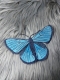 Stickdatei "FSL & ITH - Schmetterling-Bläuling N°2 " --- ca. 140 mm
