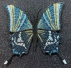 Stickdatei "FSL - Schmetterling-Kaiser von Indien - Teinopalpus imperialis " --- ca. 80 mm