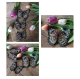 Stickdatei "FSL Schmetterling Cethosia Hypsea - Malaiische Florfliege" --- Design Pack