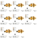 Stickdatei "FSL - Clownfisch " --- Design Pack