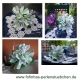 Stickdatei "FSL-Inka-Lilien" --- weiss-grün