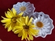Embroidery file Lace - Glass cover-Daisy - approx. 95 mm