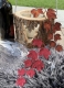 Stickdatei "FSL - Weinranke-1" --- Design Pack