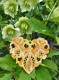 Stickdatei "Lace - Herz Vol. 19-uni"