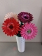 Stickdatei "FSL - 3D-Gerbera" --- Design Pack