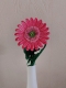 Stickdatei "FSL - 3D-Gerbera" --- Design Pack