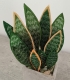 Stickdatei "FSL - 3D-Grünpflanze Sansevieria" --- Design Pack