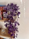Stickdatei "FSL - 3D-Grünpflanze Tradescantia_Purpusii" --- Design Pack