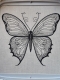 LineArt - "Schmetterling" --- SUPER-Set