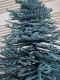 FSL "3D-Tannenbaum-2" - Design Pack