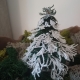 FSL "3D-Tannenbaum-2a" - Design Pack