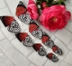 Stickdatei "FSL - Schmetterling Annas 88 (Diaethria anna)" --- Design Pack