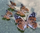Stickdatei "FSL - Schmetterling Distelfalter (Vanessa cardui)" --- Design Pack
